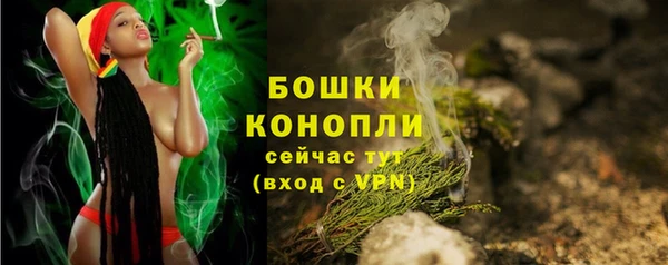 spice Аркадак