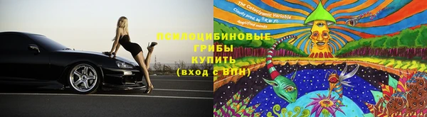 прущие крисы Алзамай