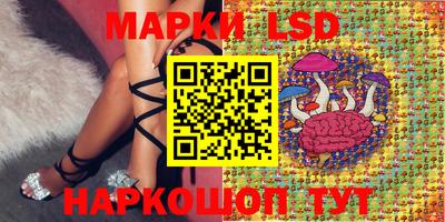 мдма Кингисепп