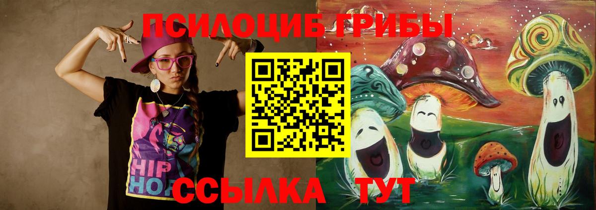 Галлюциногенные грибы Psilocybine cubensis  Вход с VPN  наркотики  Светлоград 