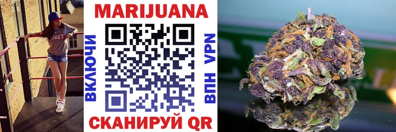 где купить   Светлоград  Бошки марихуана OG Kush 