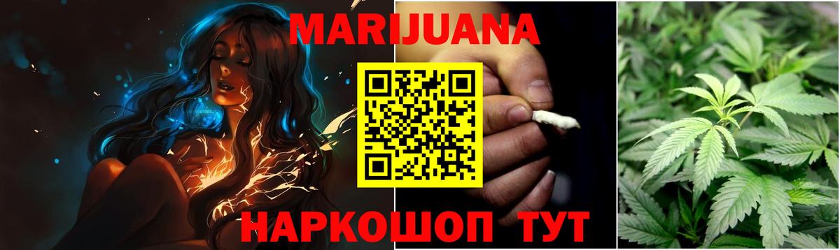 Каннабис сатива Светлоград
